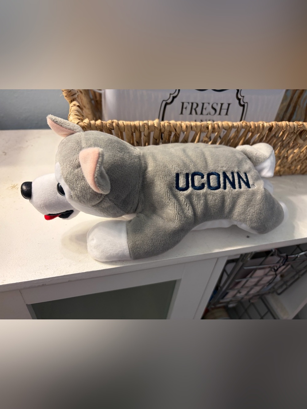 UCONN Husky Plush Dog